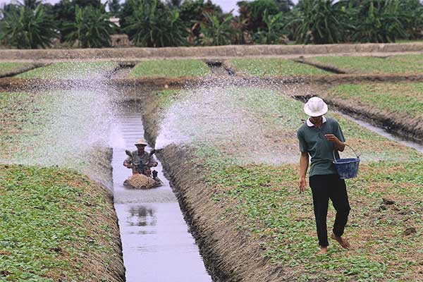 Artificial watering on soil